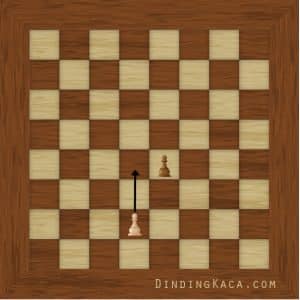 cara bermain catur, papan catur coklat, gambaran en passant
