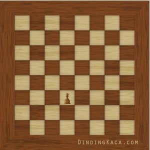 cara bermain catur, papan catur coklat, gambaran en passant