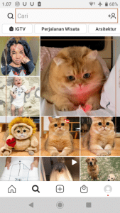 mencari akun lewat explore untuk difollow di instagram, cara menggunakan instagram versi baru untuk pemula