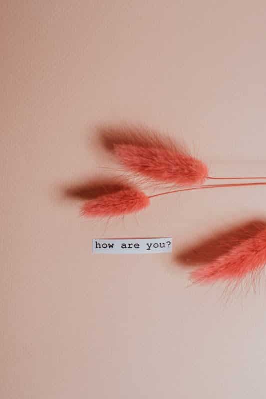 foto keren untuk profil whatsapp instagram telegram tiktok facebook line aestetik estetik tulisan how are you dengan bunga bulu dandelion merah orange latar belakang coklat