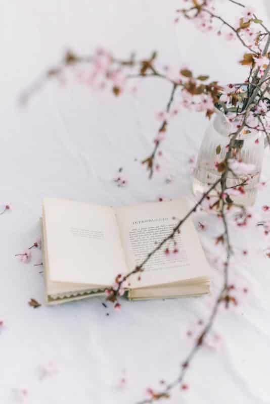 foto keren untuk profil whatsapp instagram telegram tiktok facebook line aestetik estetik buku dan bunga sakura di atas latar putih polos