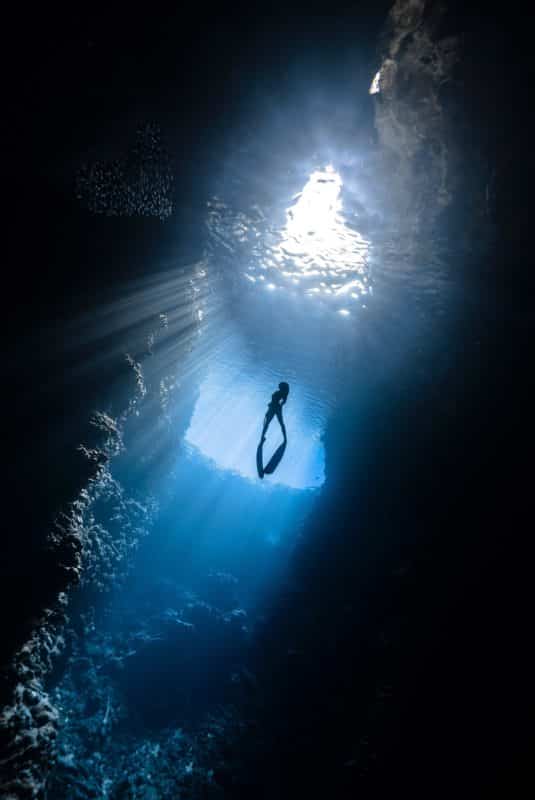 foto keren untuk profil whatsapp instagram telegram tiktok facebook line siluet menyelam/berenang di dalam/bawah air laut biru dan ada cahaya datang dari permukaan/atas
